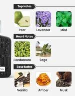 Ramz Lataffa - Image 3