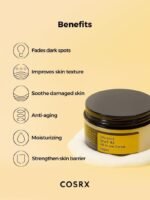 Cosrx snail advance all in 1 cream - Image 3